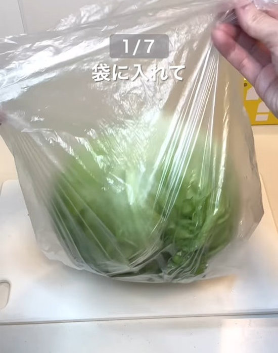 レタスを袋に入れる様子