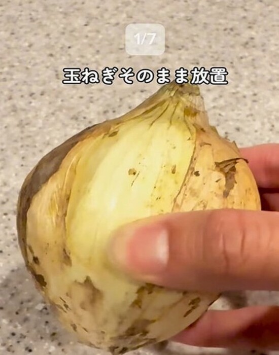 タマネギを手にしている様子