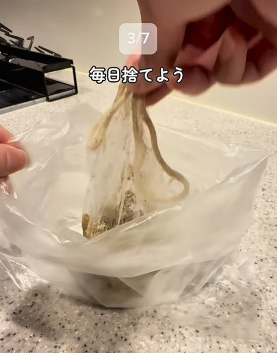 排水口のゴミを処分する様子