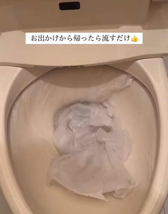 トイレを流している様子