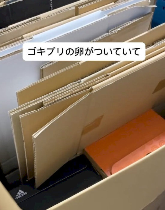 段ボールにも注意