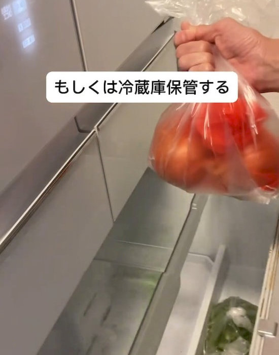 野菜室に保存
