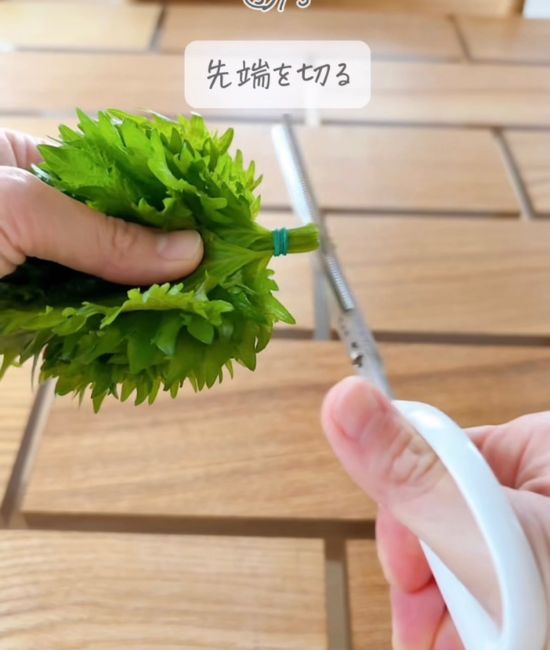 大葉をカットする様子