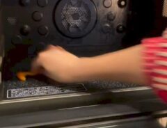 ミカン