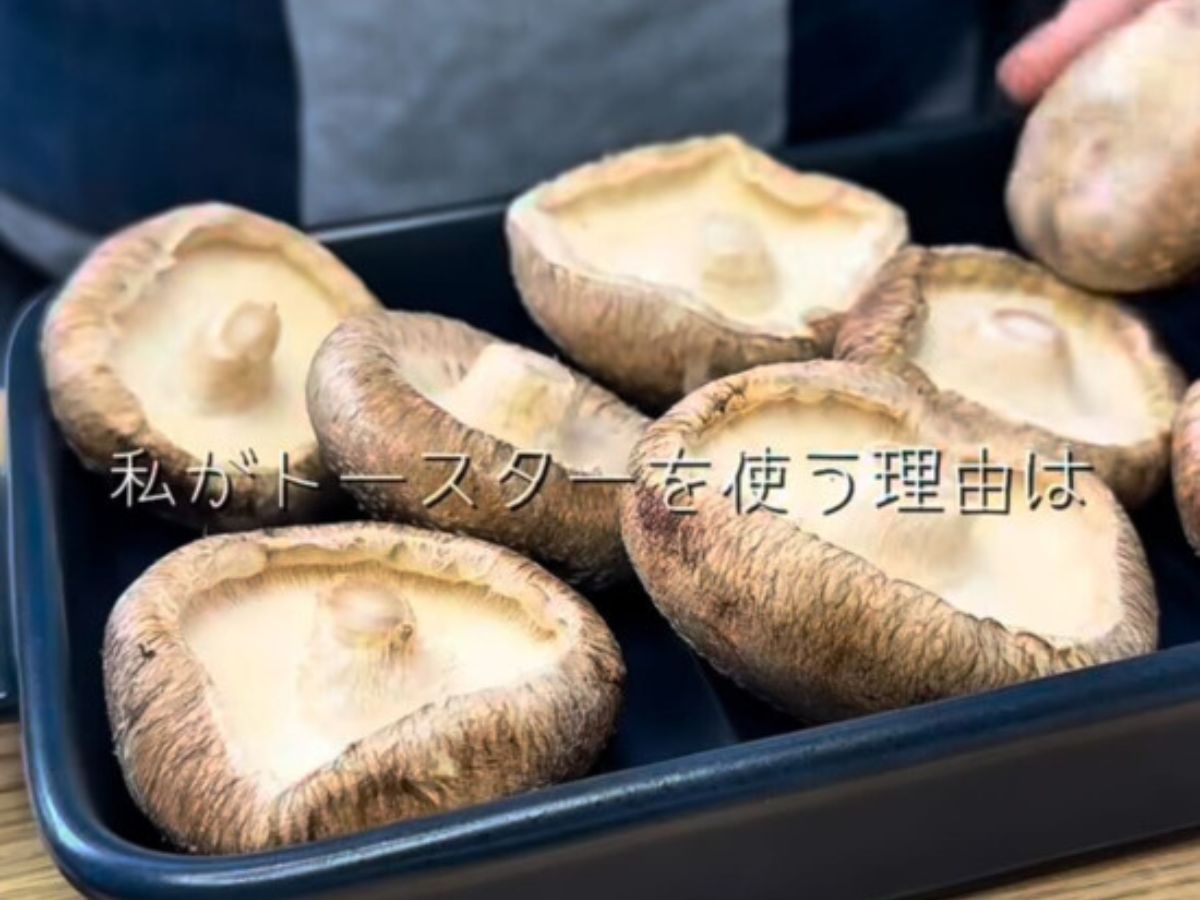 シイタケ