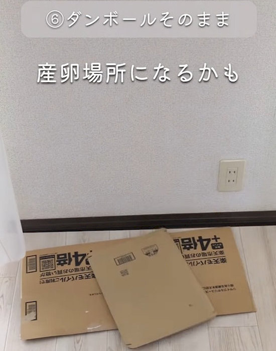 ダンボールはゴキブリの産卵場所になる
