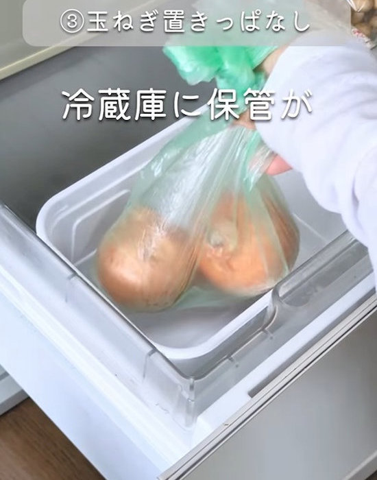 袋に入れるか冷蔵庫に保存