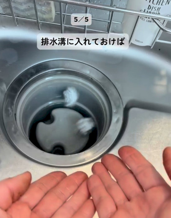 排水口のヌメリ防止