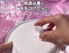 紙皿