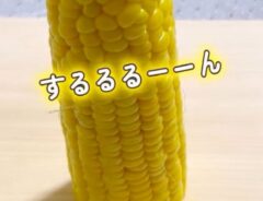 トウモロコシ