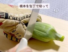 トウモロコシ
