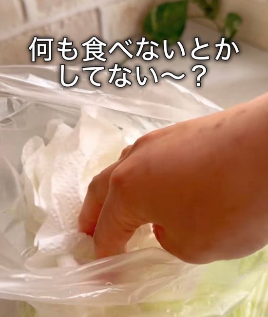 ポリ袋にレタスとキッチンペーパーを入れる様子