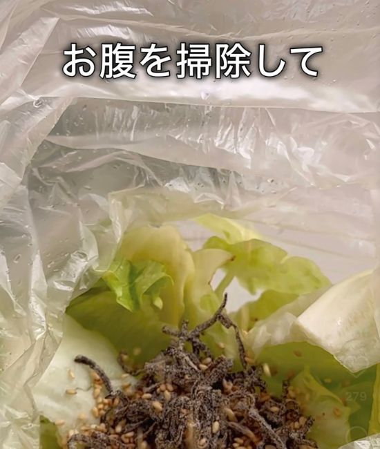 レタスの入ったポリ袋に塩昆布や調味料を入れた様子