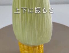 トウモロコシ