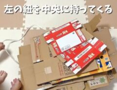 ダンボール