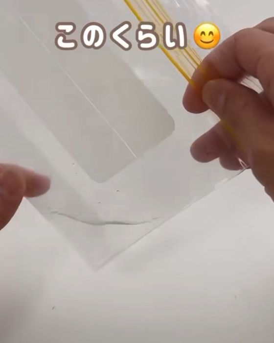 チャック付き保存袋に少量の水を入れた様子