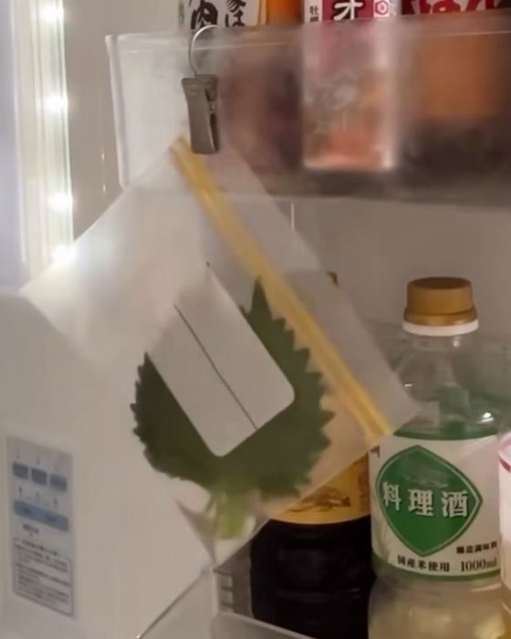 大葉の茎が水に浸かるように入れたチャック付き保存袋をドアポケットにクリップで固定した様子