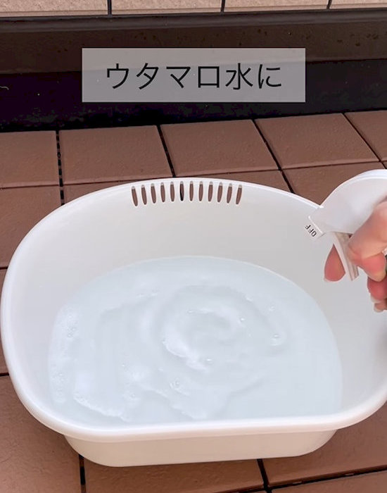 ウタマロ水