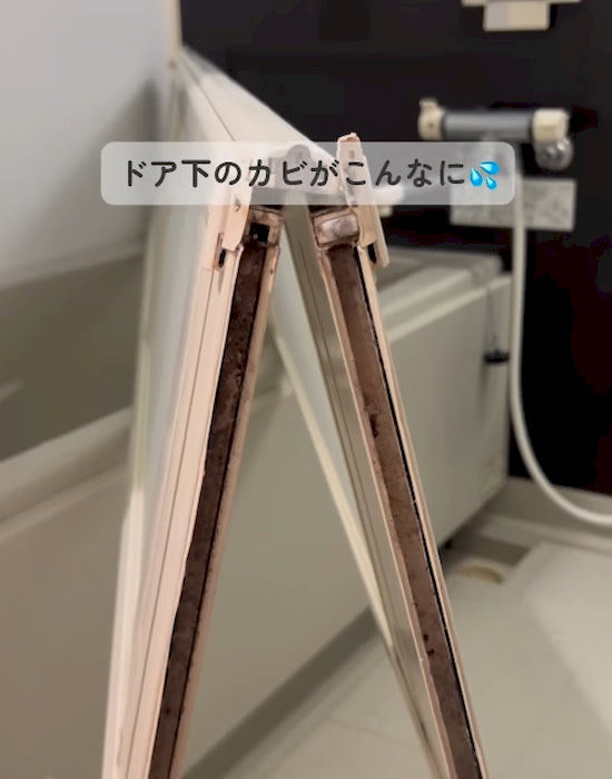 カビが付いたドア