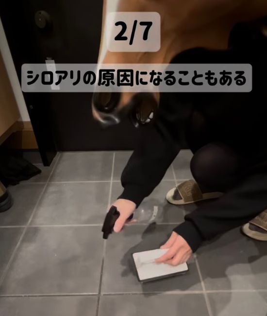 玄関のタイルにスプレーボトルで洗剤をかけてブラシで掃除をしている様子