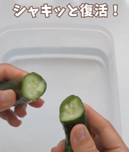 キュウリを手で半分に折った様子