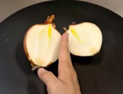 タマネギ