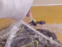 パッキング