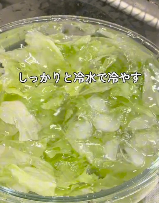 氷水でレタスを冷やす様子