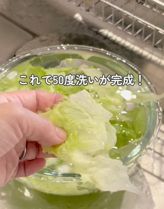 レタスを手にしている様子
