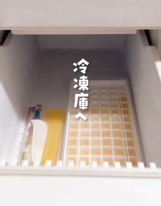 冷凍庫に入れる