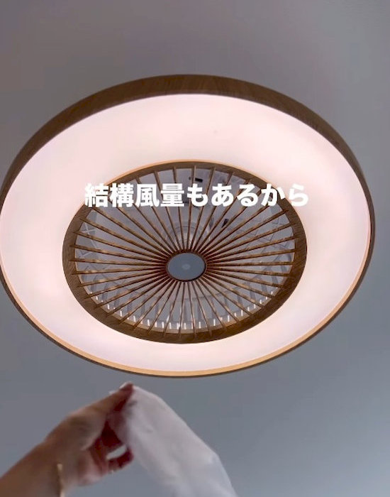 シーリングファンを手にしている様子