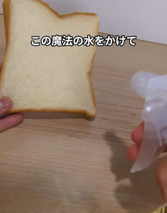 食パンに麦茶を吹きかけている様子