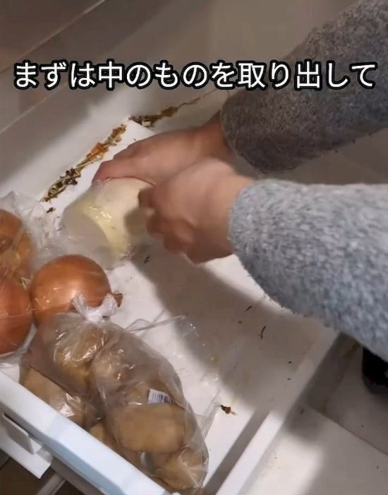 野菜室から野菜を出している様子