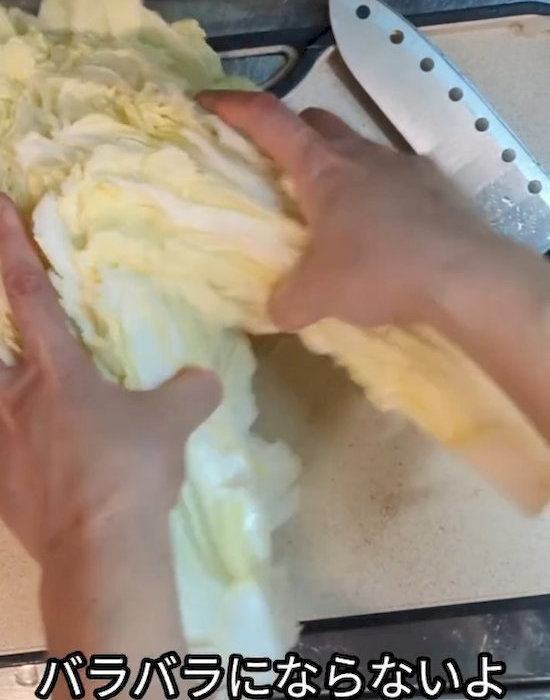 重なった葉がきれいに２つに分かれる
