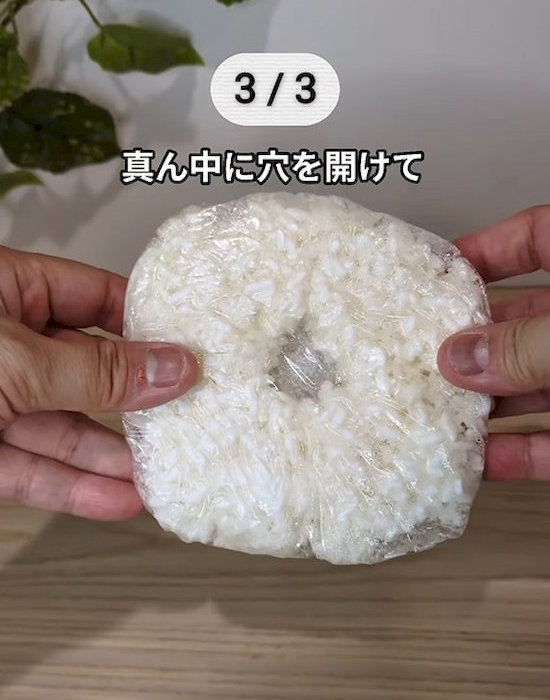 ドーナツ型のご飯