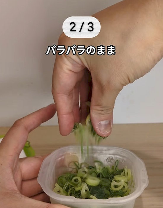 パラパラのネギ