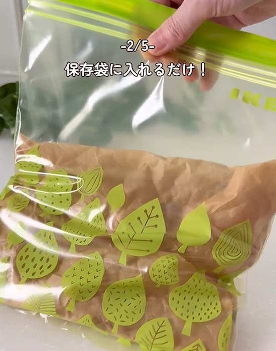 ジッパー付き保存袋に入れる