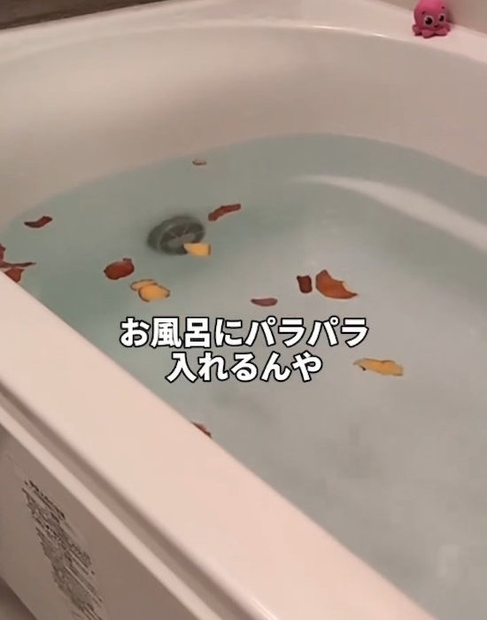 浴槽に入れる