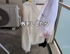 洗濯ネットに入れたリンゴの皮が…　仕上がりに「そんな使い道があったのか」