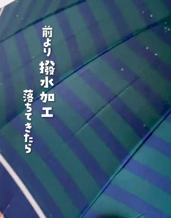 ボーダー柄の傘