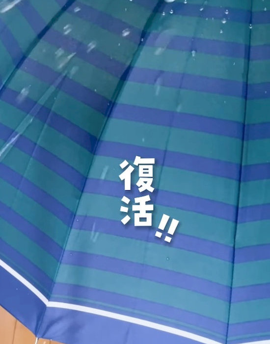 水滴を弾く傘