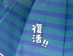 傘