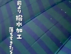 傘