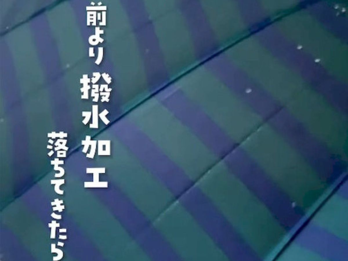 傘