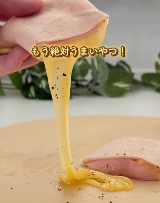 チーズの溶けたブリトー