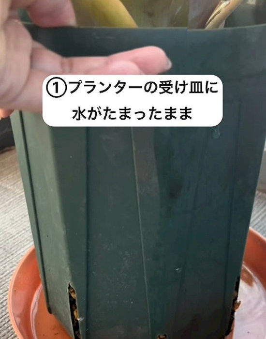 プランターの受け皿