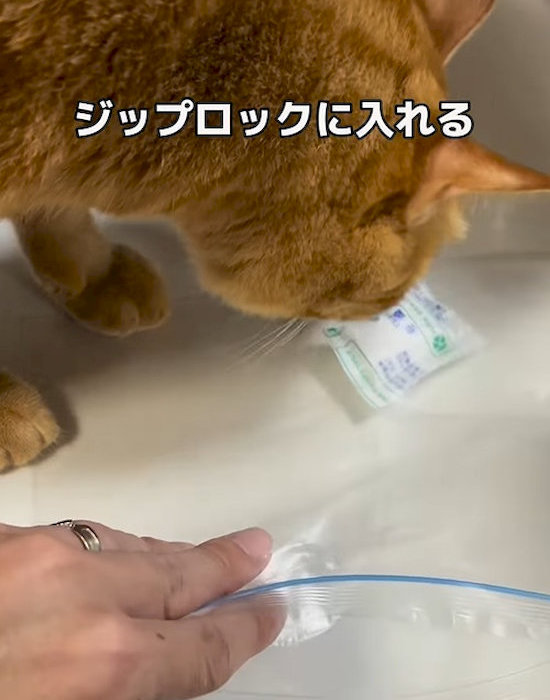 保存袋に入れる