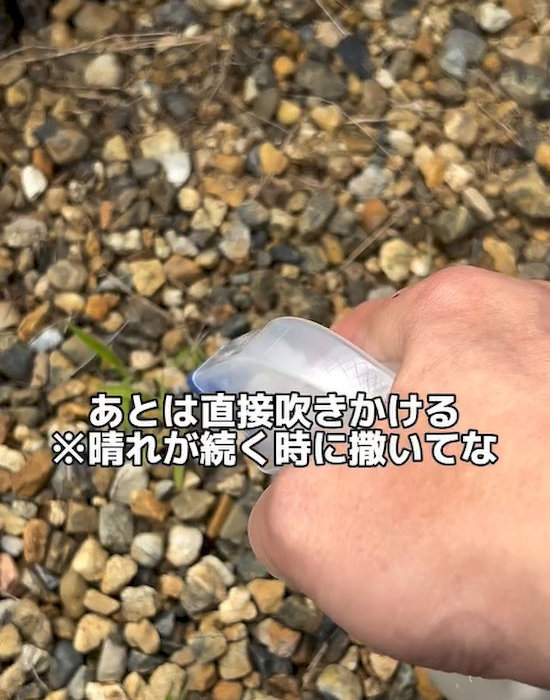 雑草に直接吹き付ける