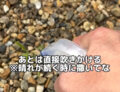 雑草