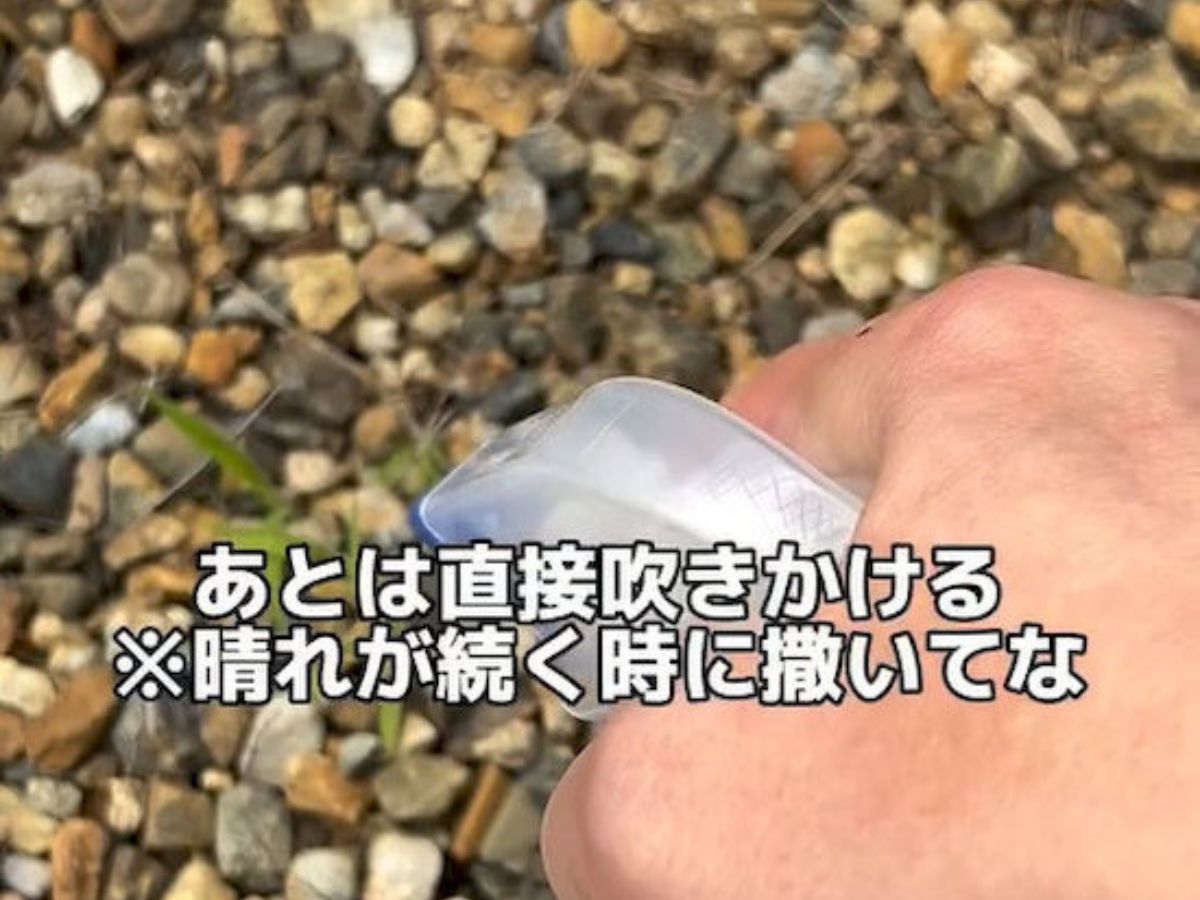 雑草